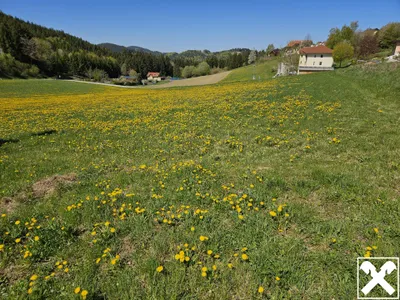 Grundstück kaufen in Perg – 1 146 m², € 28.650 – Bild 2 von 2
