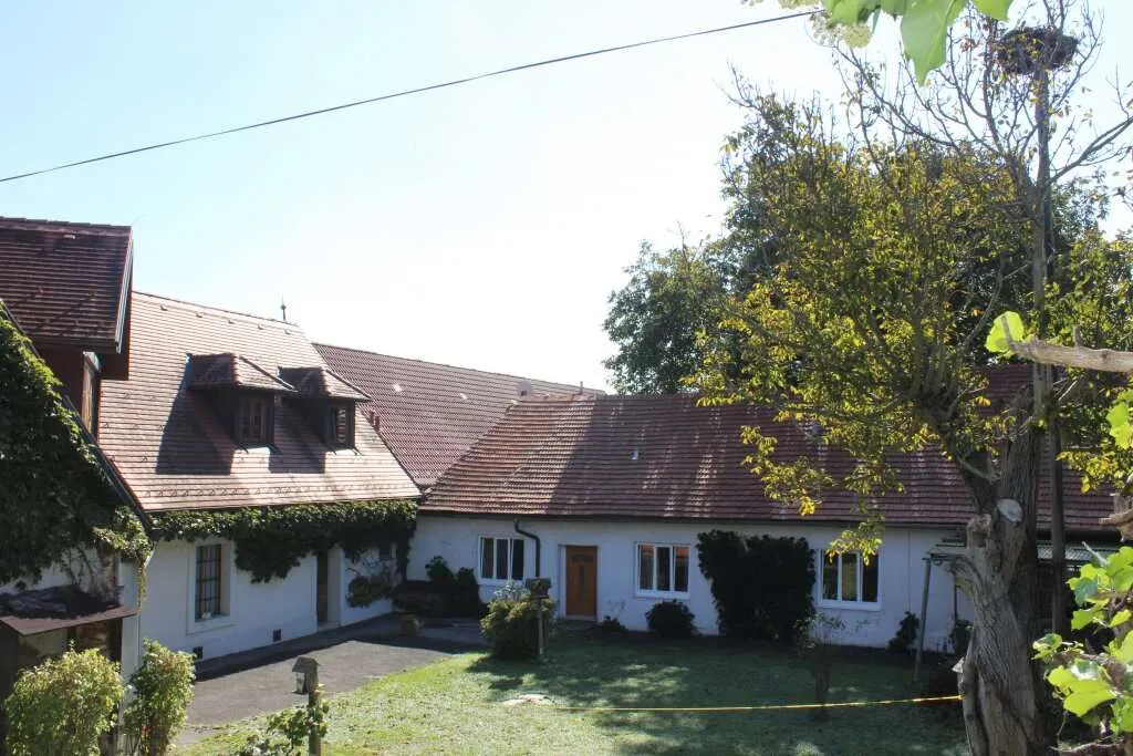 Außergewöhnliche Liegenschaft in der Golf- und Thermenregion Bad Tatzmannsdorf! - Widok 2