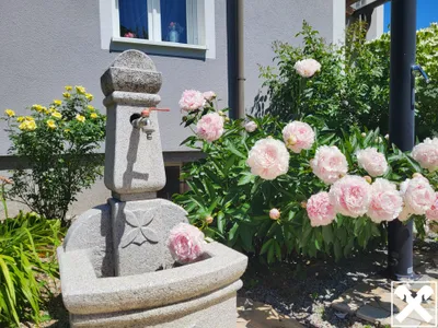 6-Zimmer-Haus kaufen in Steyr-Land – 140 m², € 499.000 – Bild 15 von 19