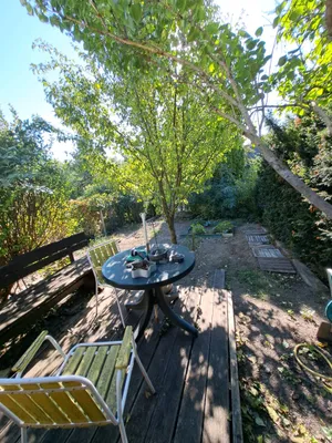 2-Zimmer-Haus kaufen in Baden – 116 m², € 198.000 – Bild 4 von 7