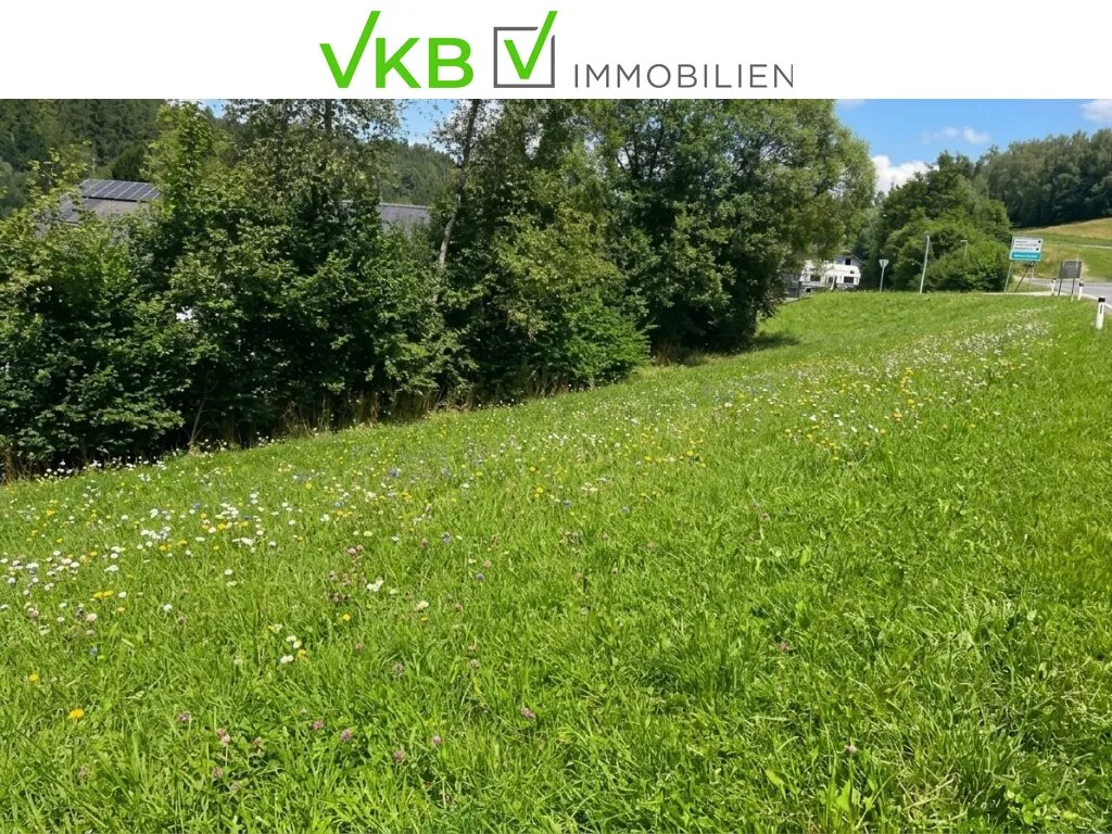 Naturverbunden wohnen - Baugrundstück mit Lebensqualität in Eidenberg - Widok 2