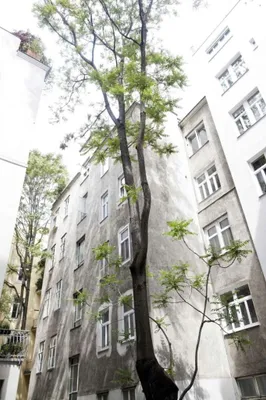 2-Zimmer-Wohnung mieten in Wien – 48 m², € 890 – Bild 10 von 12