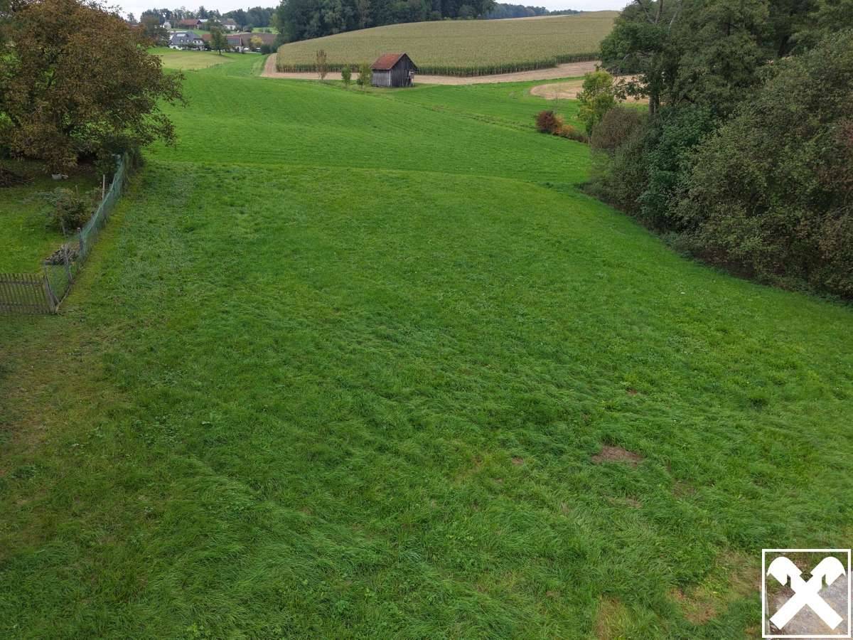 Baugrundstück in herrlicher Lage mit Sicht ins Grüne - Ansicht 2