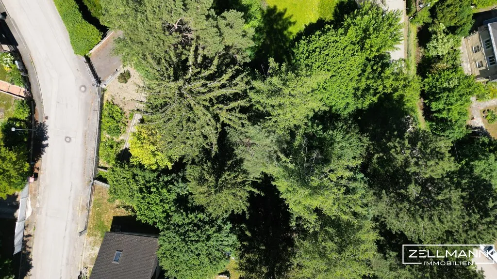 MAUERBACH-STEINBACH | tolles Baugrundstück Eigenheim mit 1071 m² | ZELLMANN IMMOBILIEN - Ansicht 3