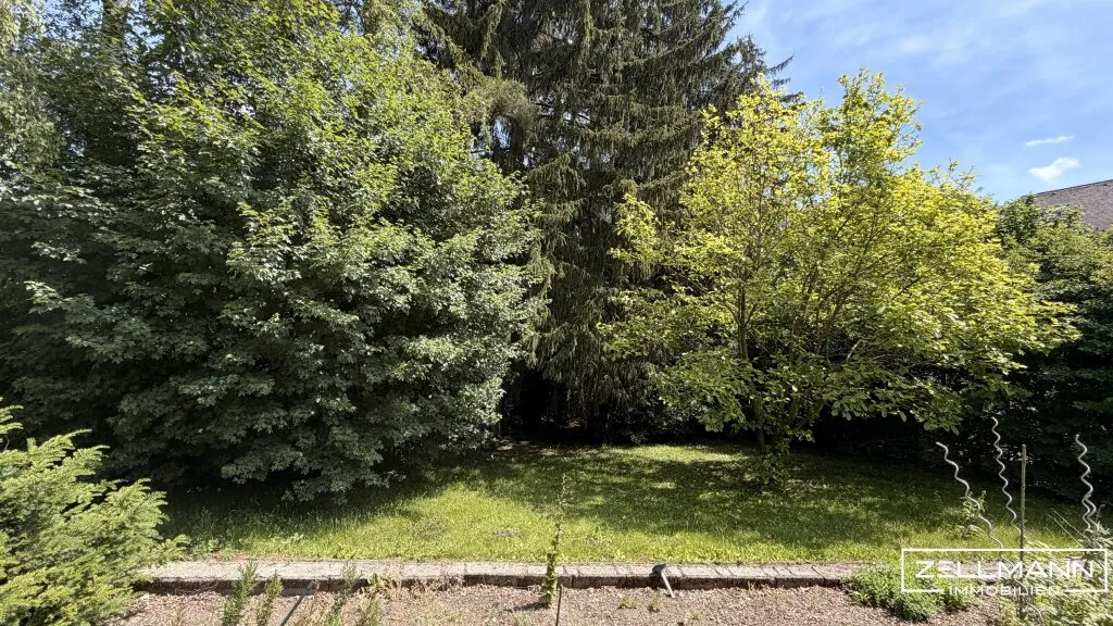 MAUERBACH-STEINBACH | tolles Baugrundstück Eigenheim mit 1071 m² | ZELLMANN IMMOBILIEN - Ansicht 2