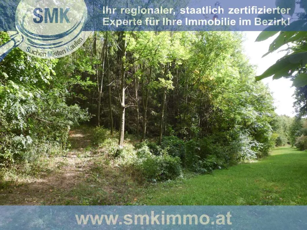 Weinkeller mit riesen Waldgrundstück Nähe A5! - Ansicht 3