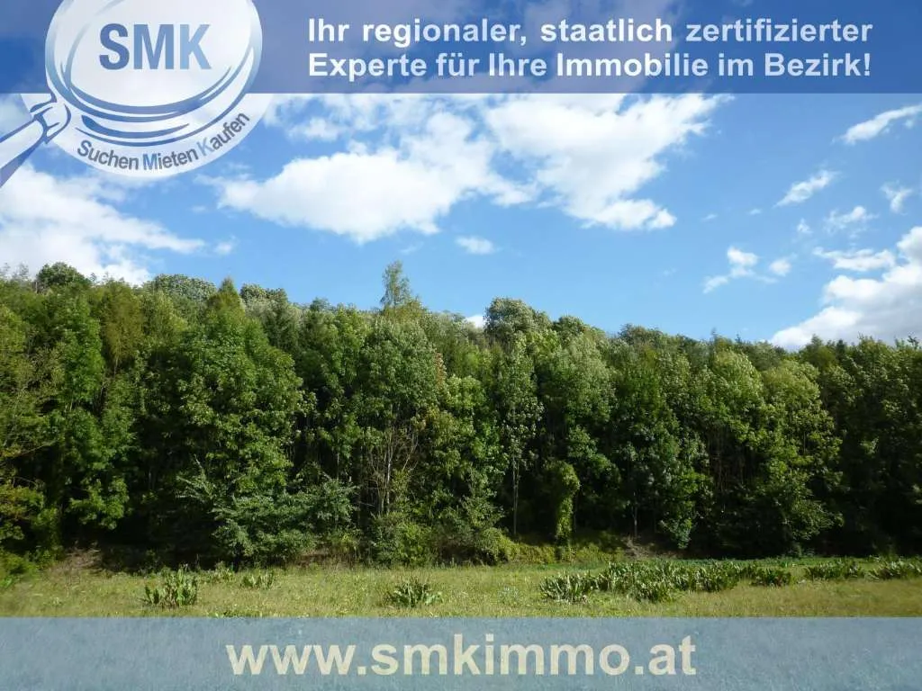 Weinkeller mit riesen Waldgrundstück Nähe A5! - Ansicht 2