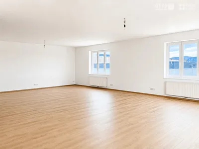 Gewerbeimmobilie kaufen in Wiener Neustadt – 3 100 m², € 8.800.000 – Bild 10 von 11