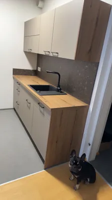 3-Zimmer-Wohnung mieten in Sankt Pölten Land – 65 m², € 700 – Bild 9 von 11