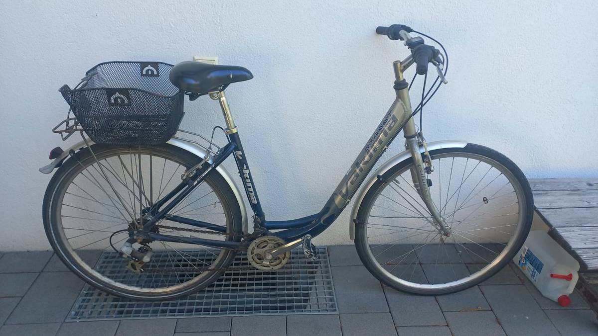 Damenfahrrad mit Tiefeinstieg (Citybike 28 Zoll),  70,- (9919 Heinfels) -  willhaben