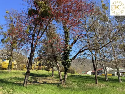 Grundstück kaufen in Südoststeiermark – 1 017 m², € 80.000 – Bild 7 von 9