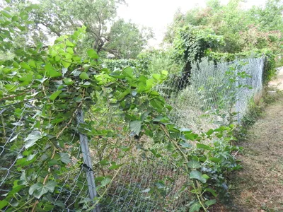 3-Zimmer-Immobilie kaufen in Bruck an der Leitha – 90 m², € 180.000 – Bild 23 von 24