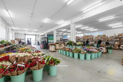 Gewerbeimmobilie mieten in Wien – 923 m², € 9.226 – Bild 3 von 15