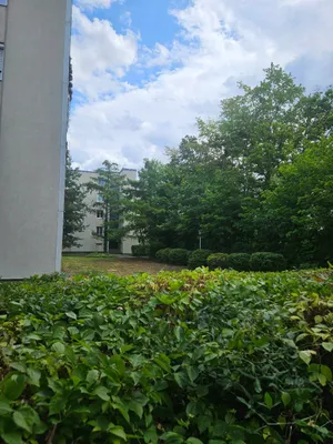 3-Zimmer-Wohnung kaufen in Mödling – 78 m², € 279.000 – Bild 21 von 21