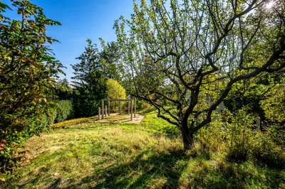 Immobilie kaufen in Wien – 1 070 m², € 2.675.000 – Bild 10 von 15