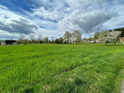Grundstück kaufen in Perg – 678 m², € 68.652 – Bild 2 von 2