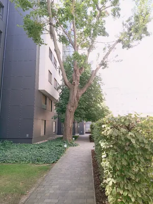 4-Zimmer-Wohnung mieten in Wien – 109 m², € 3.200 – Bild 37 von 39