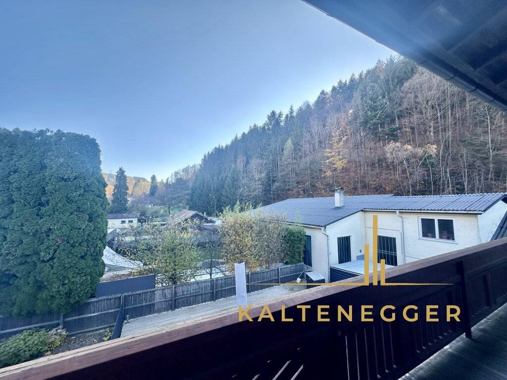 Traumhaftes Mehrfamilienhaus in Edlitz: 5 Zimmer und Pool - Ansicht 3