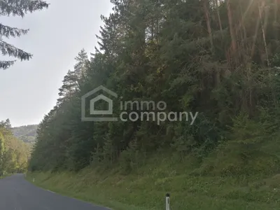 Haus kaufen in Wiener Neustadt Land – 130 m², € 250.000 – Bild 7 von 8