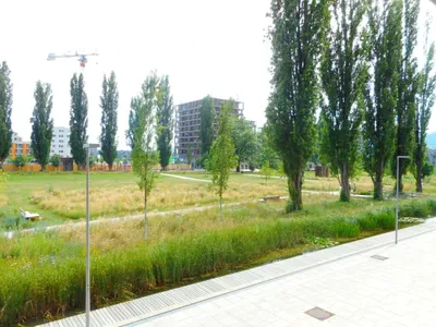 Gewerbeimmobilie mieten in Graz – 398 m² – Bild 9 von 15
