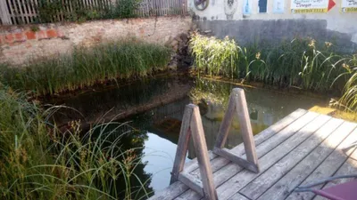 Immobilie mieten in Hollabrunn – 1 000 m², € 100 – Bild 5 von 13