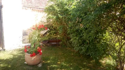 Immobilie mieten in Hollabrunn – 1 000 m², € 100 – Bild 4 von 13