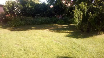 Immobilie mieten in Hollabrunn – 1 000 m², € 100 – Bild 7 von 13