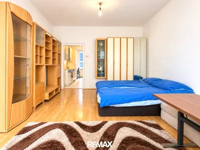 1-Zimmer-Wohnung kaufen in Wien – 30 m², € 76.000