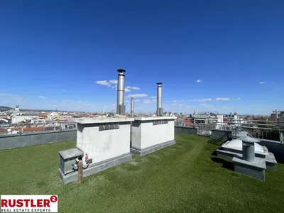 Traumhafte Maisonettewohnung mit Dachterrasse und Kamin - Blick auf den Stephansdom – Bild 3