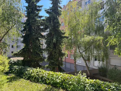 2-Zimmer-Wohnung kaufen in Wien – 55 m², € 259.000 – Bild 6 von 16
