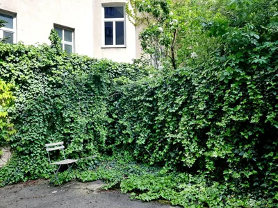 1-Zimmer-Wohnung mieten in Wien – 40,19 m², € 750 – Bild 17 von 18