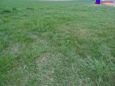 Grundstück kaufen in Mattersburg – 4 400 m², € 660.000
