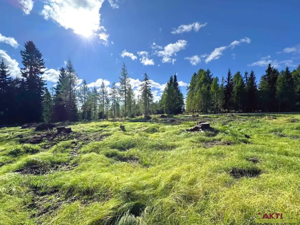 Großzügiges Grundstück im reinen Kurgebiet in Albeck - Region Hochrindl. – pohled 3