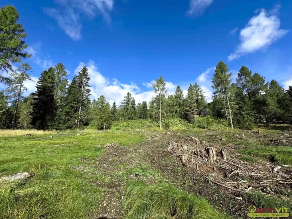 Großzügiges Grundstück im reinen Kurgebiet in Albeck - Region Hochrindl. – pohled 2