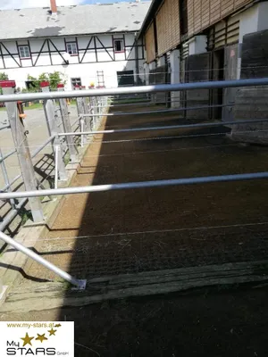 Immobilie mieten in Murtal – € 780 – Bild 11 von 15