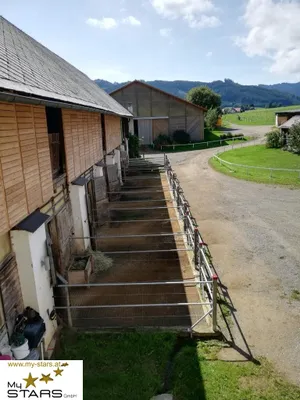 Immobilie mieten in Murtal – € 780 – Bild 1 von 15