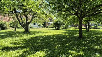 Haus kaufen in Südoststeiermark – 50 m², € 155.000 – Bild 3 von 22