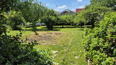 Haus kaufen in Südoststeiermark – 50 m², € 155.000 – Bild 4 von 22