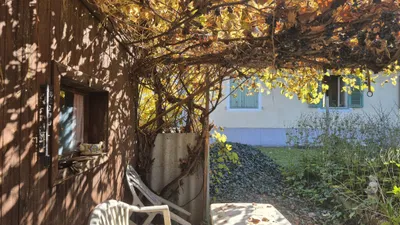 Haus kaufen in Südoststeiermark – 50 m², € 155.000 – Bild 20 von 22