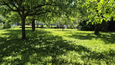 Haus kaufen in Südoststeiermark – 50 m², € 155.000 – Bild 2 von 22