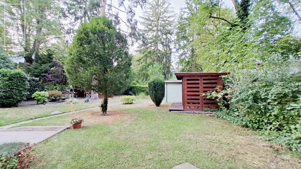 Seltene Gewerbeeinheit mit eigenem Gartenanteil in Hietzing (ca. 24 m²) - Unbefristet vermietet - Ansicht 3