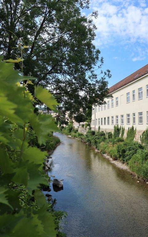 Baden - Zentrum - vor Bewilligung Bauprojekt mit 2 EXKLUSIVEN Eigentumswohnungen - Ansicht 3