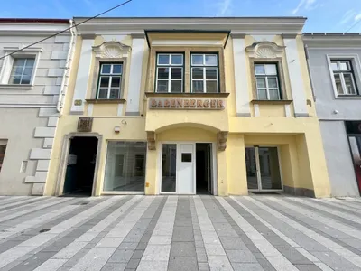 Immobilie kaufen in Wiener Neustadt – 880 m², € 337.000 – Bild 1 von 20