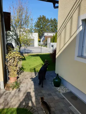 5-Zimmer-Haus kaufen in Graz-Umgebung – 160 m², € 698.800 – Bild 11 von 17