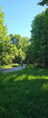 2-Zimmer-Wohnung mieten in Wien – 58 m², € 877 – Bild 10 von 12