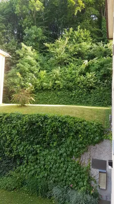 2-Zimmer-Wohnung mieten in Wien – 58 m², € 877 – Bild 9 von 12