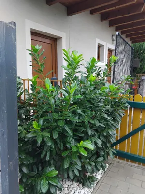 2-Zimmer-Immobilie mieten in Graz-Umgebung – 45 m², € 690