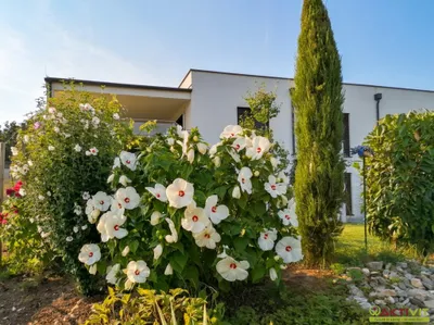 6-Zimmer-Immobilie kaufen in Jennersdorf – 323 m², € 1.400.000 – Bild 35 von 41