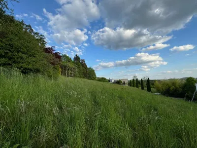 Grundstück kaufen in Graz – 1 400 m², € 750.000 – Bild 4 von 6