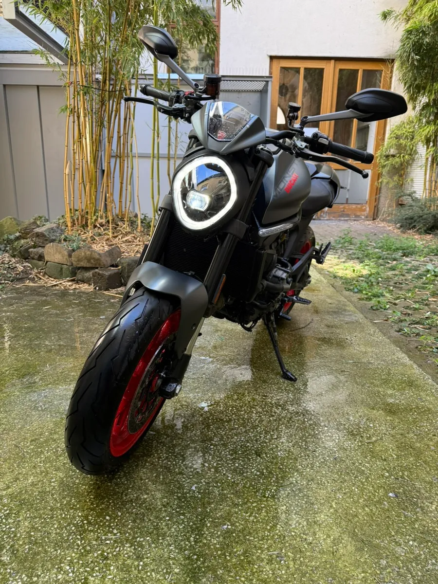 Ducati Monster